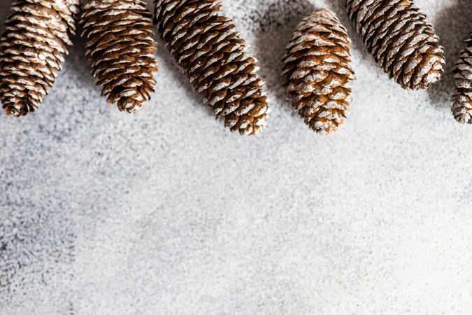 Christmas scene of pine tree cones on concrete background