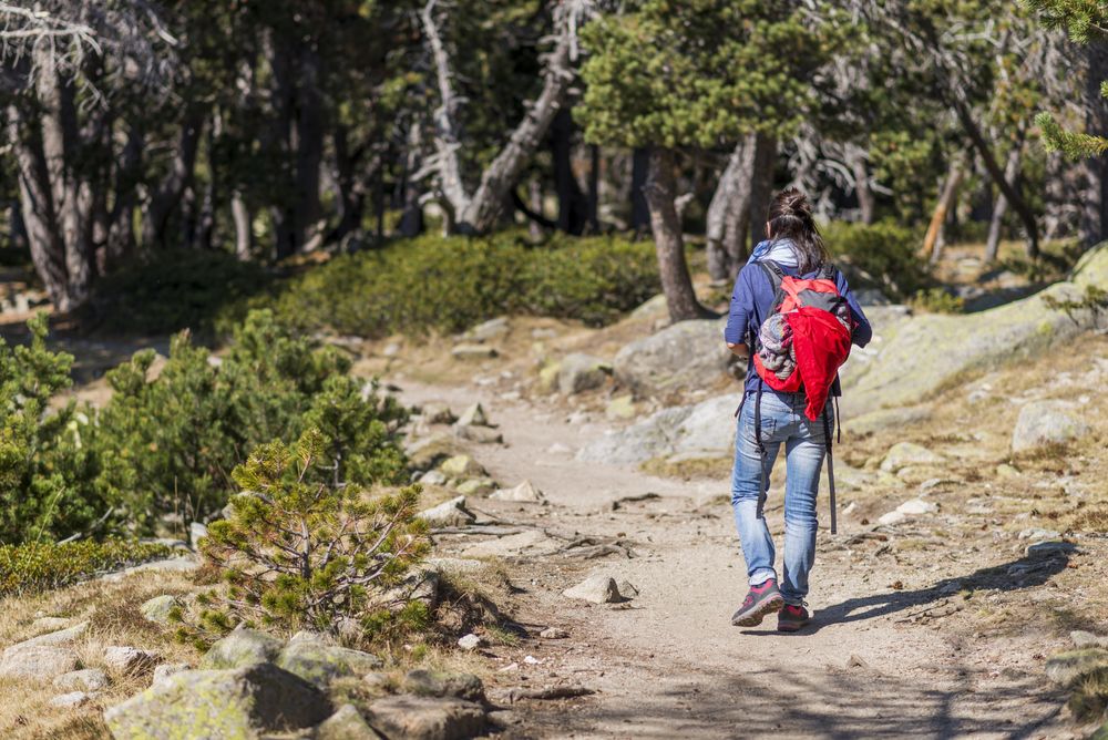 Back of brunette trekking on trail in the woods