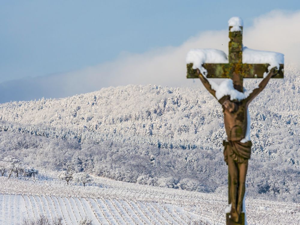 Alsace vineyards under heavy snow on a sunny winter day. Details and top view.