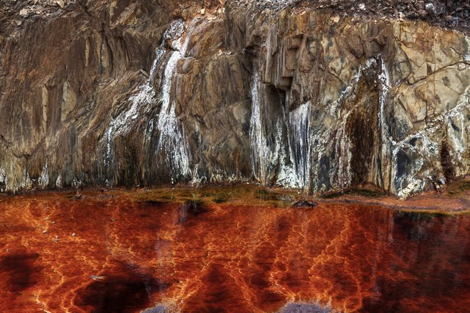 Bright orange splashes in nature