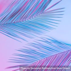 Tropical palm leaves in vibrant gradient holographic colors 5zaWj0
