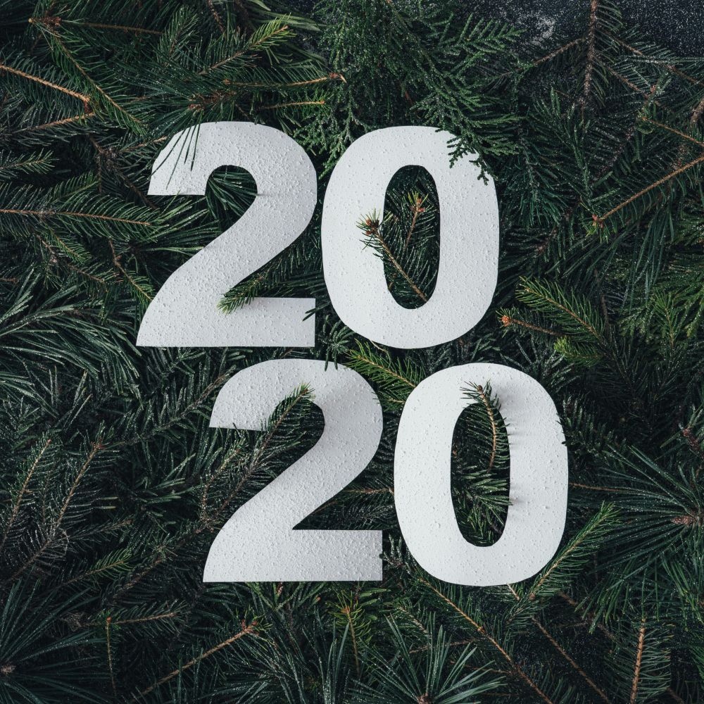 “2020” on pine branch background