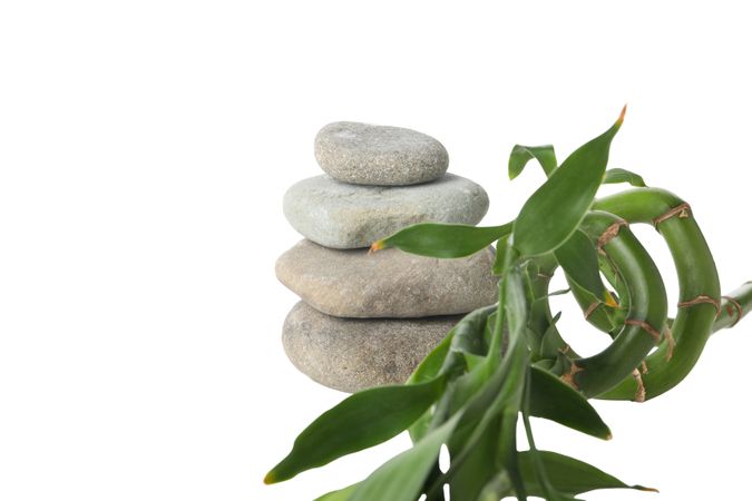 Stones and bamboo, isolated on plain background, close up