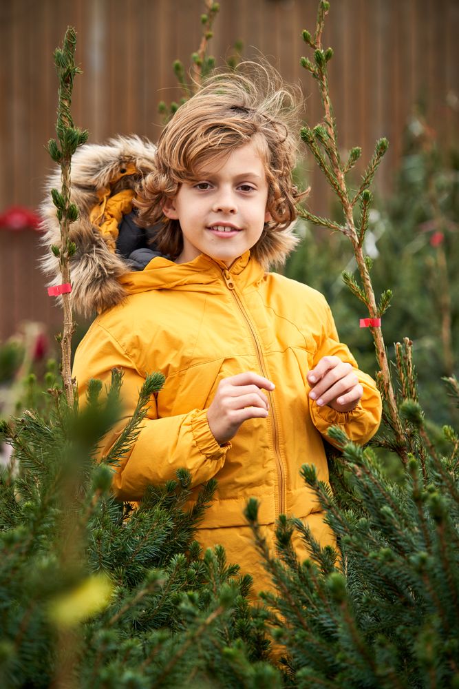 Boy in jacket looking at camera at New Year trees