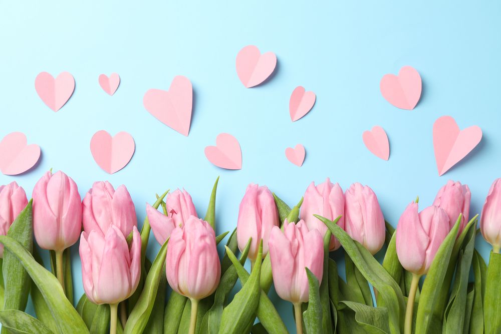 Pink tulips and decorative hearts on blue background, top view