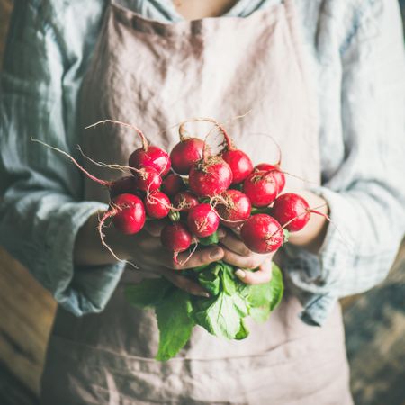 Woman holding fresh radishes in her hands