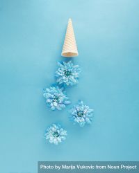 Blue flowers dropping from cone 4OoKJ4
