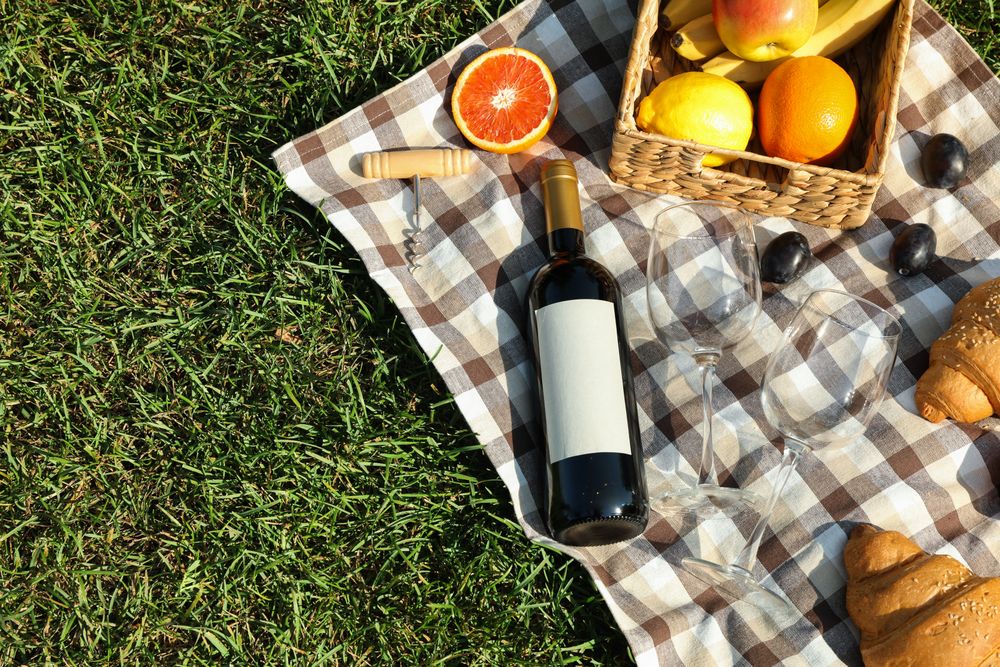 Picnic composition with wine and food against green grass, space for text