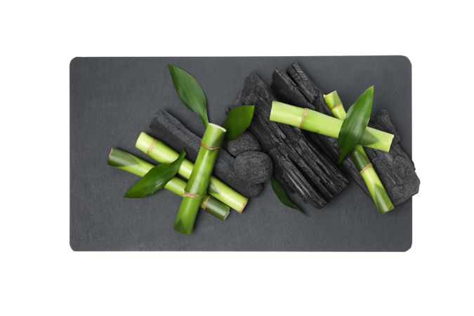 Fresh bamboo shoots with charcoal, isolated on plain background