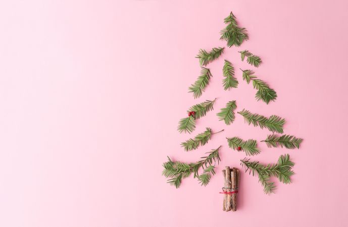 Christmas tree made with evergreen fir, and cinnamon sticks on pastel pink background