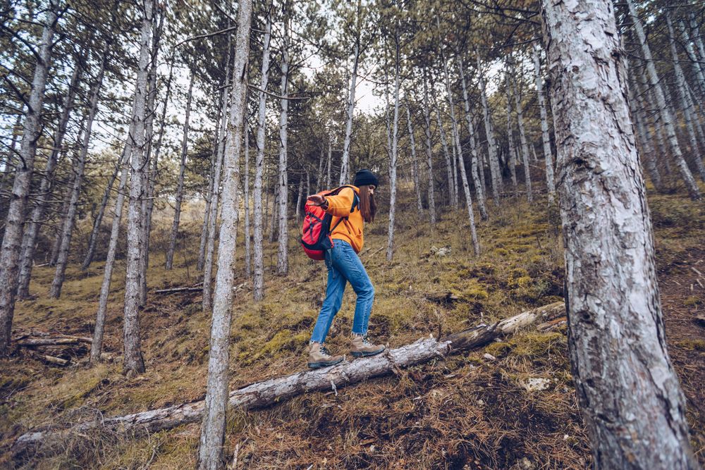 Female hiker balancing while walking along fallen tree in autumn forest
