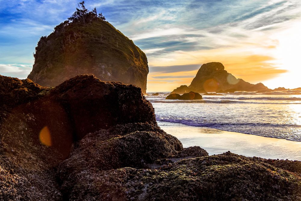 Bright sun in late afternoon on rocky beach with sun flare