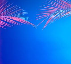 Tropical leaves in bold pink and blue gradient holographic neon colors on bright blue background