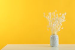 Speckled vase filled with dried bunny tail flowers in yellow room with copy space