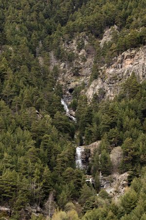Scenery of waterfall in mountainous forest