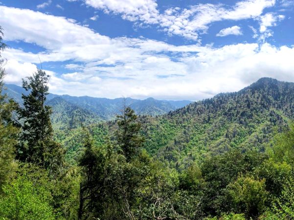 Endless Horizons: Sunny Vista Overlooking the Great Smoky Mountains