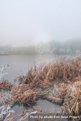 Pond in the winter time bY6gN0