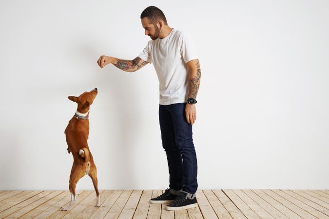 Casual, tattooed man training his dog