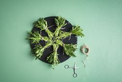 Arugula bundles on plate on green table