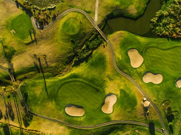 Top view of green golf resort