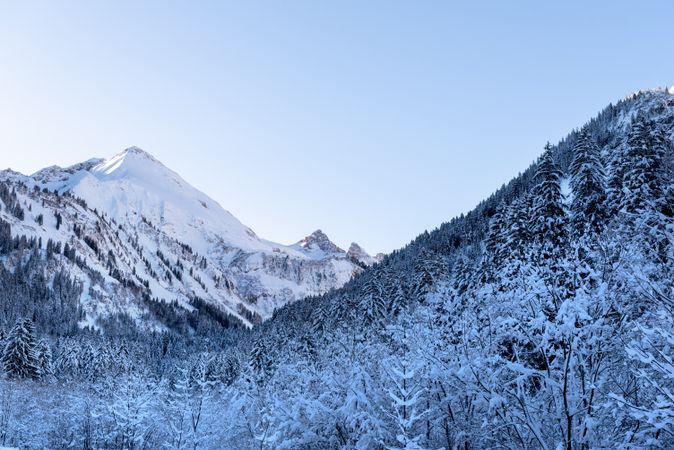 Winter landscape with snow-covered mountains and forest in the Bavarian Alps, Germany