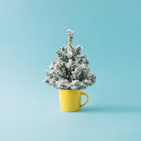 Coffee cup with Christmas tree