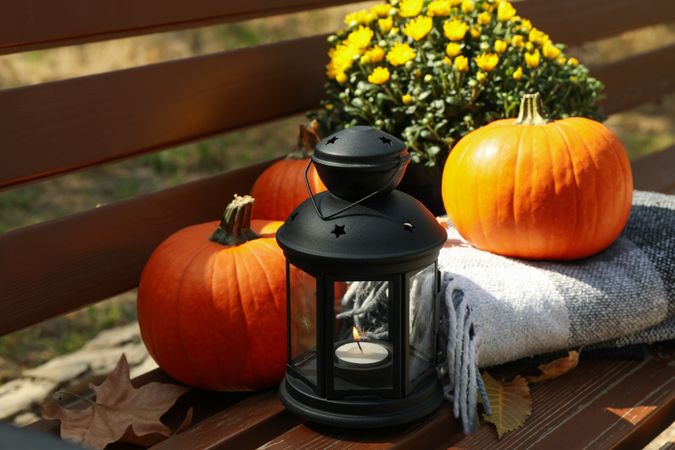 Cozy autumn concept outdoor in the park