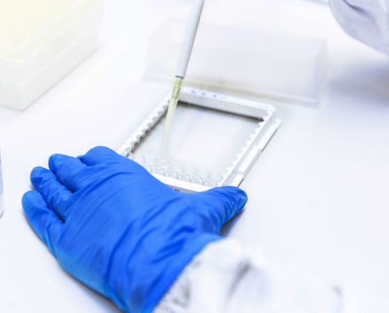 Specialist in laboratory studying analyzes from monitor of device