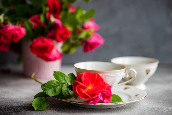 Side view of cup & saucer with red roses and copy space