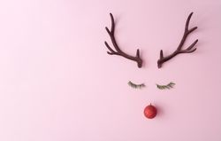 Reindeer face made of evergreen fir eyelashes, red bauble decoration and antlers on pink background