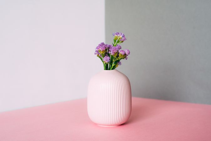 Violet sea lavender flowers in a multicolor background