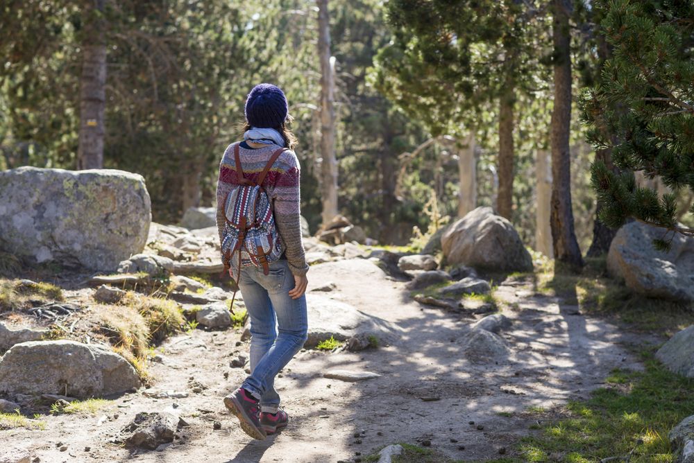 Back of woman in sweater and backpack strolling on trail in the sunny woods