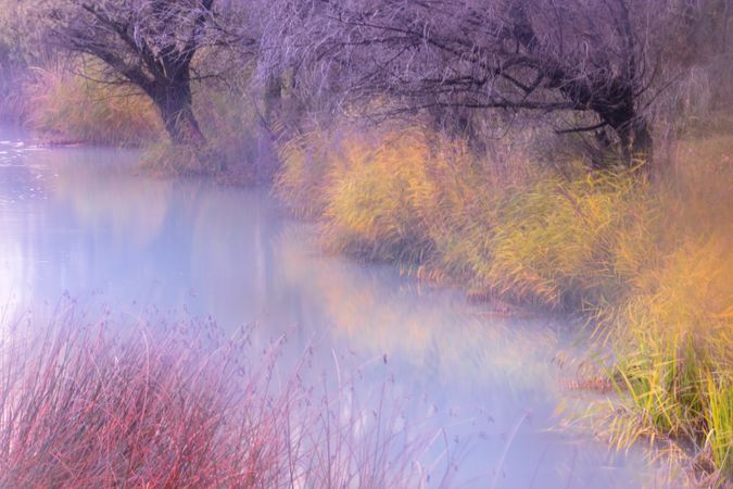 Blurred trees in forest river