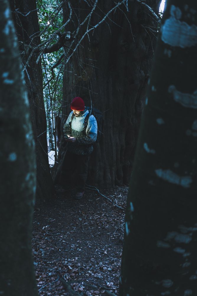 Man next to green tree with mobile phone