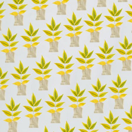 Pattern of green yellow autumn leaves on side of a bright background