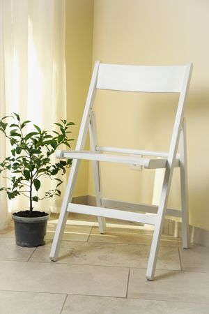 Folding chair and plant against light yellow wall