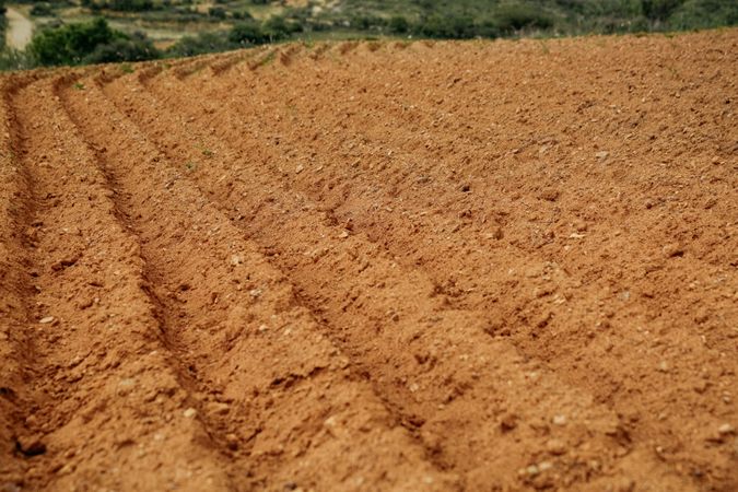 Soil of cultivated field