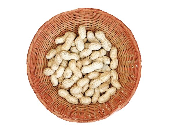 Peanuts In The Kitchen On Plain Background