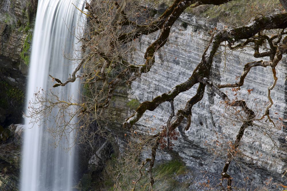 Autumn tree and waterfall