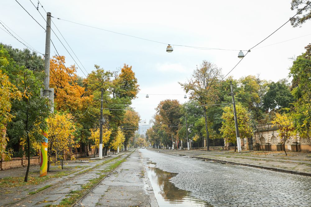 Rainy, autumn, city park in the morning
