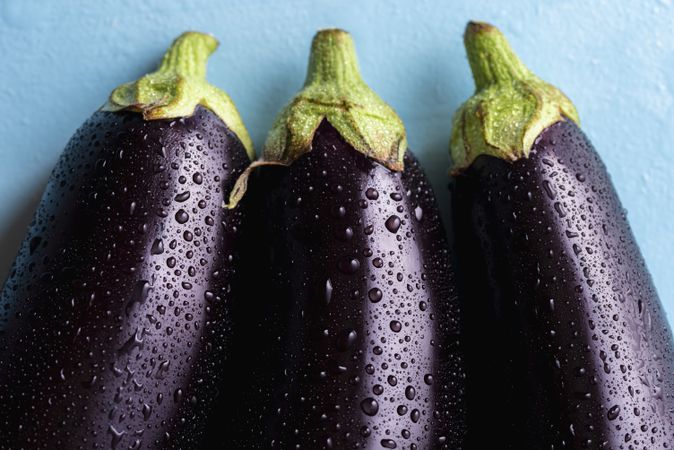 Close up of fresh eggplant with water droplets