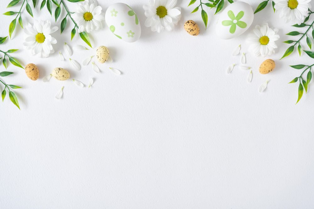 Daisies and eggs on light background