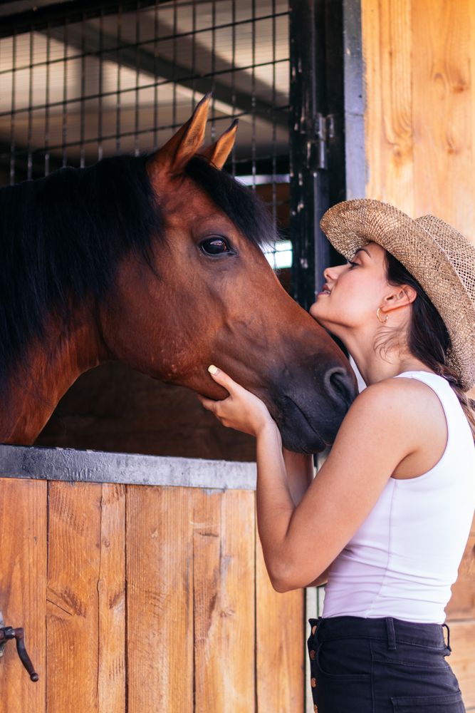 Woman taking care of his brown horse in the stable