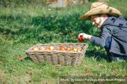 Happy kid putting apple in wicker basket from harvest 0Ld3NV