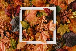 Autumn leaves with paper card note