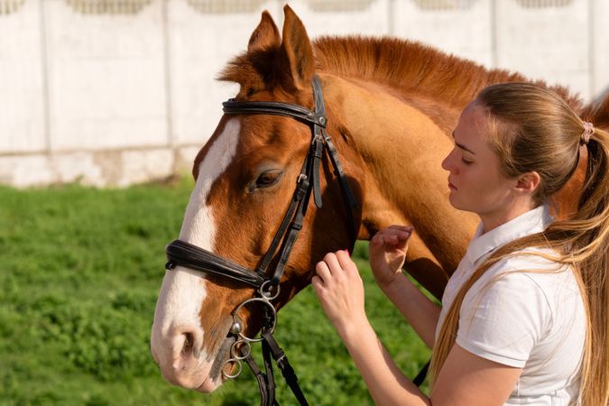 Woman attaching bridle to horse