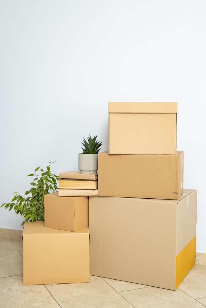 Concept of move in modern flat with boxes