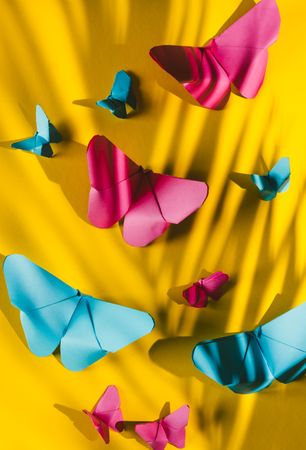 Paper butterflies on yellow cardboard