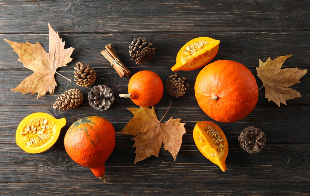 Composition with pumpkins, pine cones and leaves on wooden background, copy space
