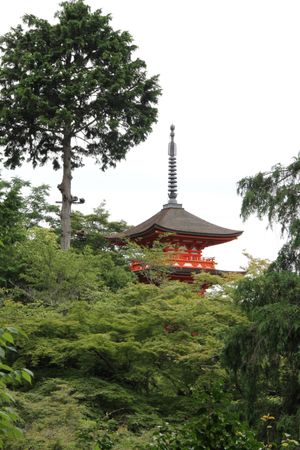 Kiyomizu-dera temple surrounded by green trees